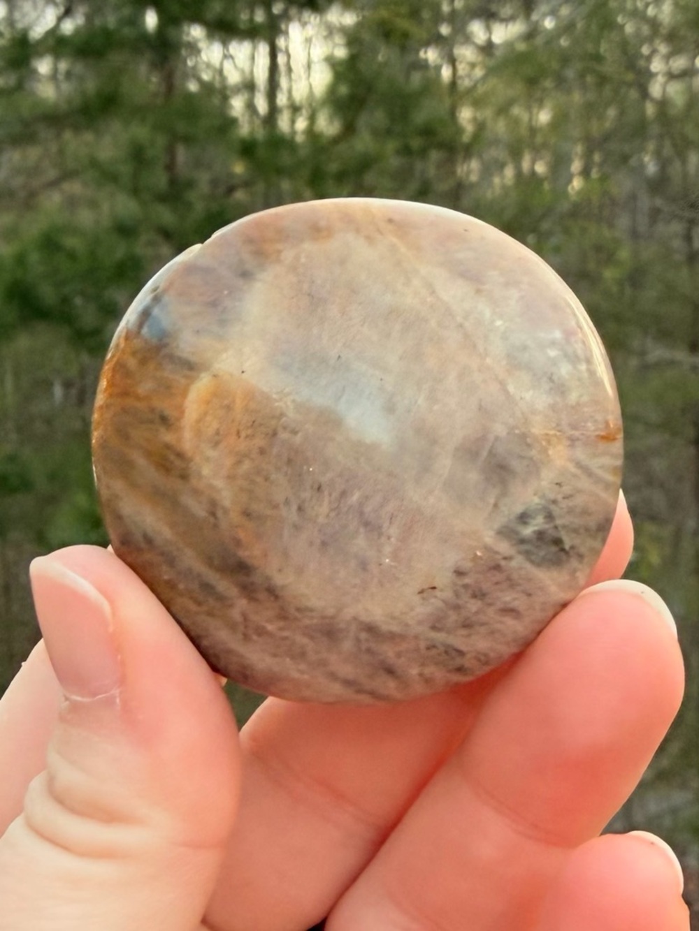 SALE! Moonstone Palm Stones